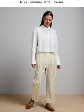 AE77 Premium Barrel Trouser